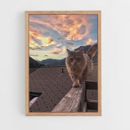 Kat natuur poster