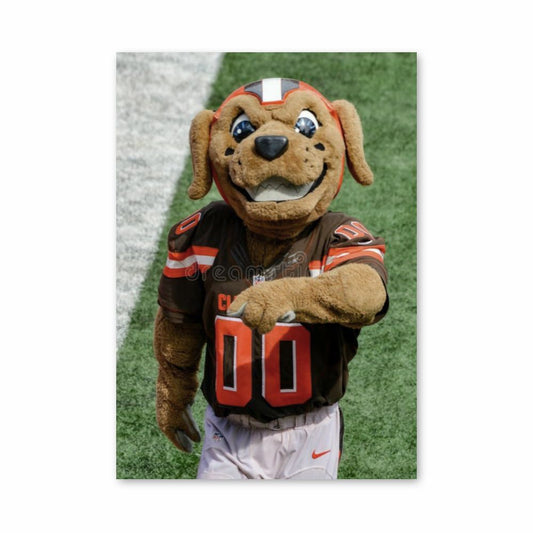 Cleveland Browns mascotte poster