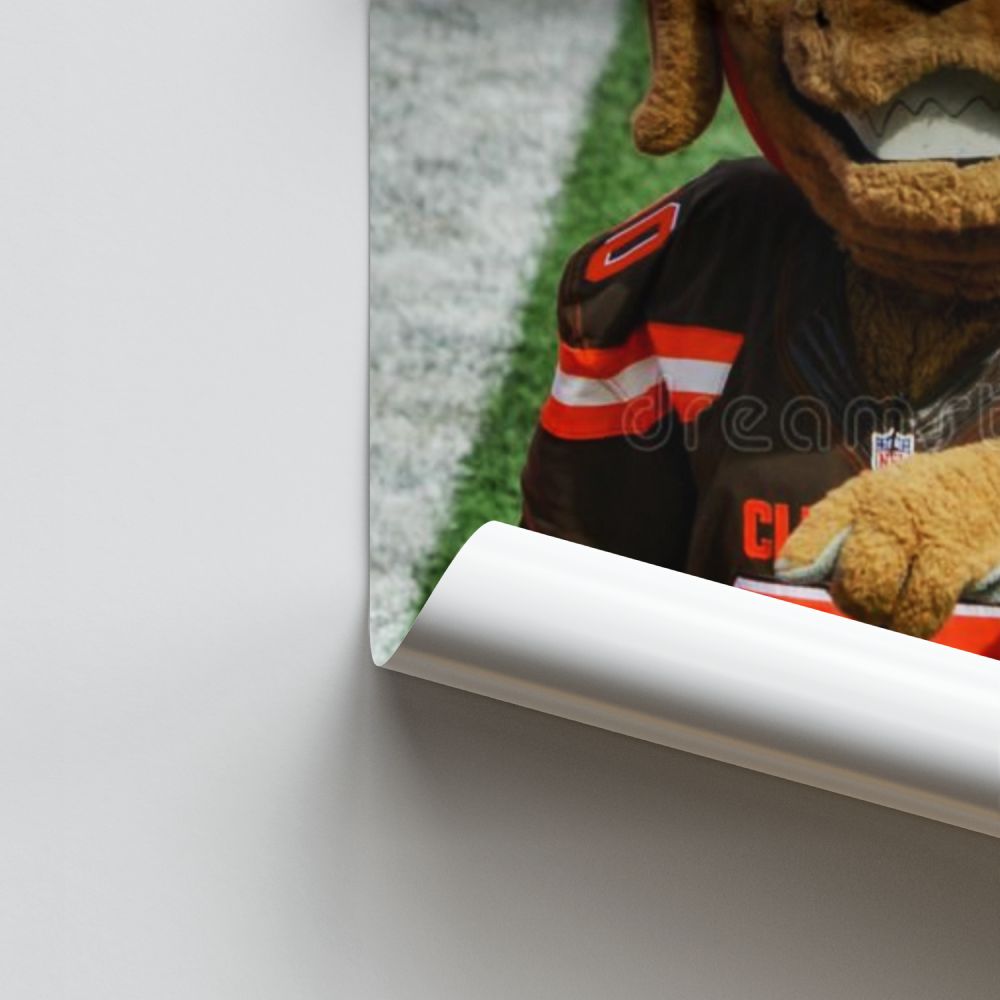 Cleveland Browns mascotte poster