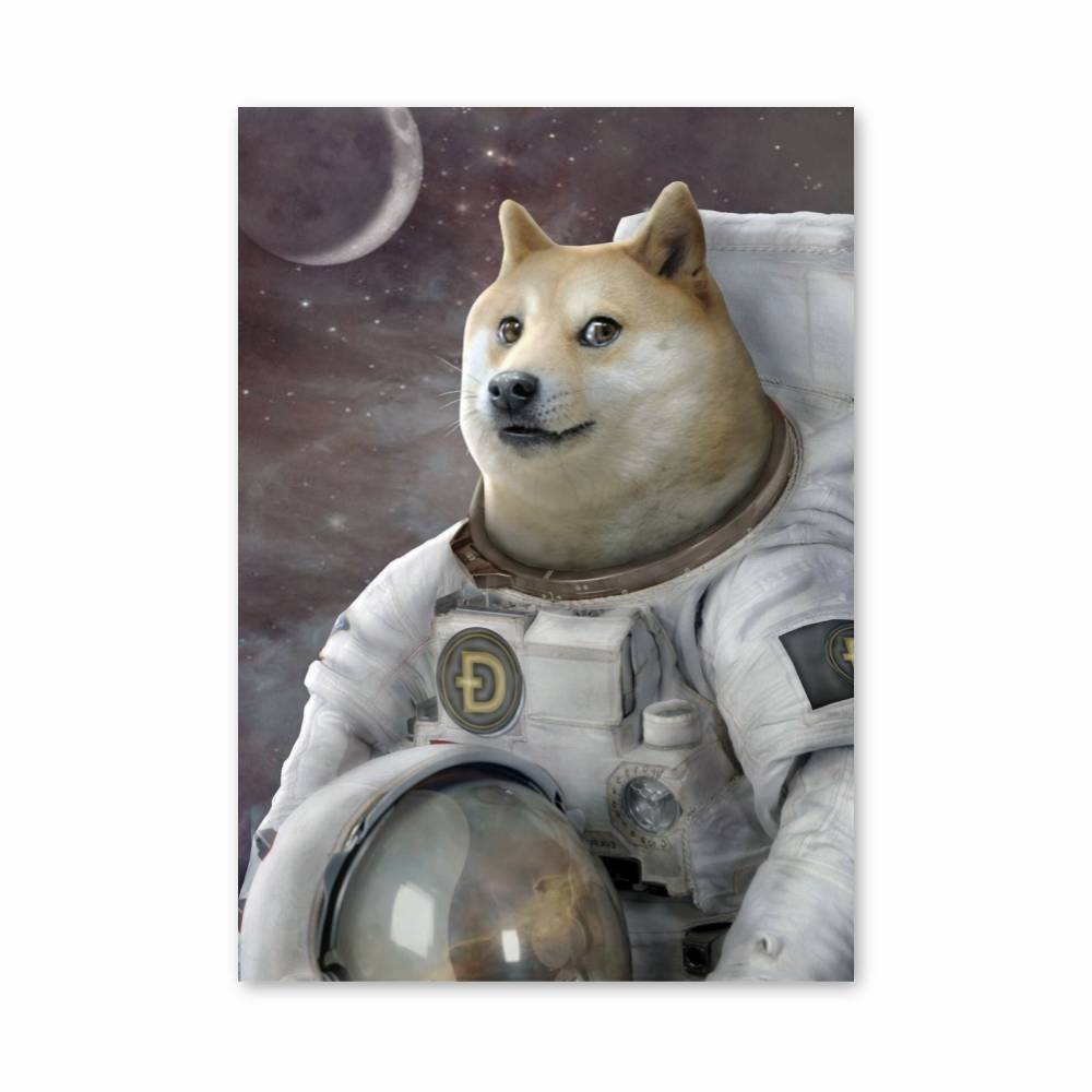 Poster Doge dans l'espace