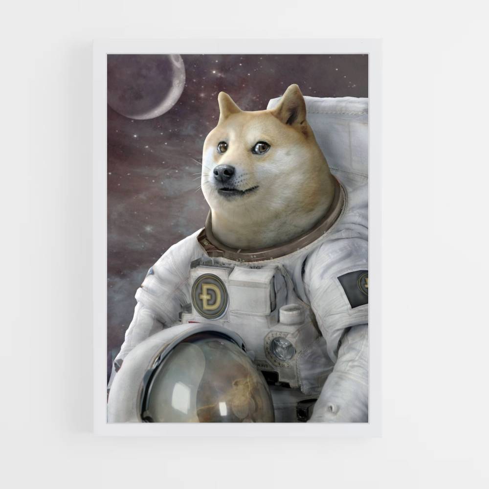 Poster Doge in de ruimte