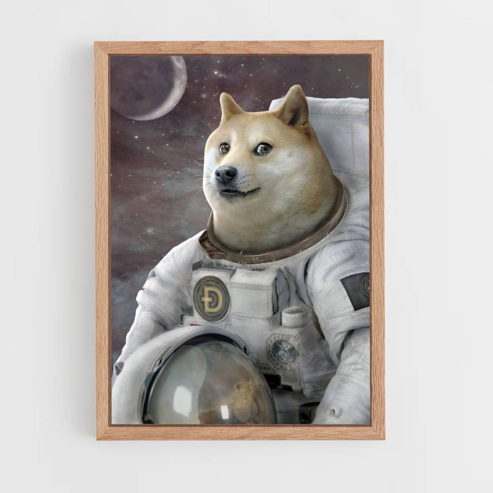 Poster Doge in de ruimte