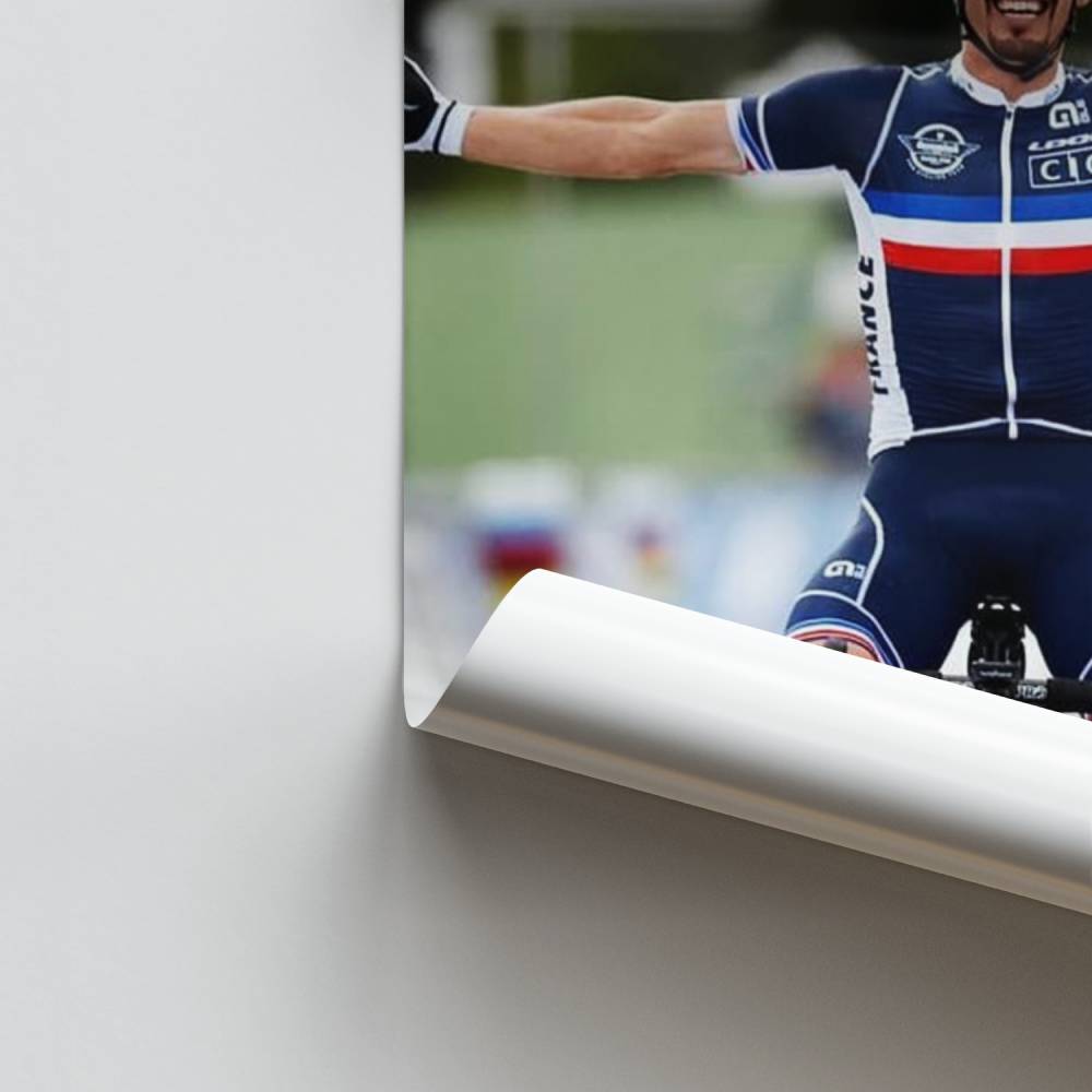 Poster Julian Alaphilippe-viering