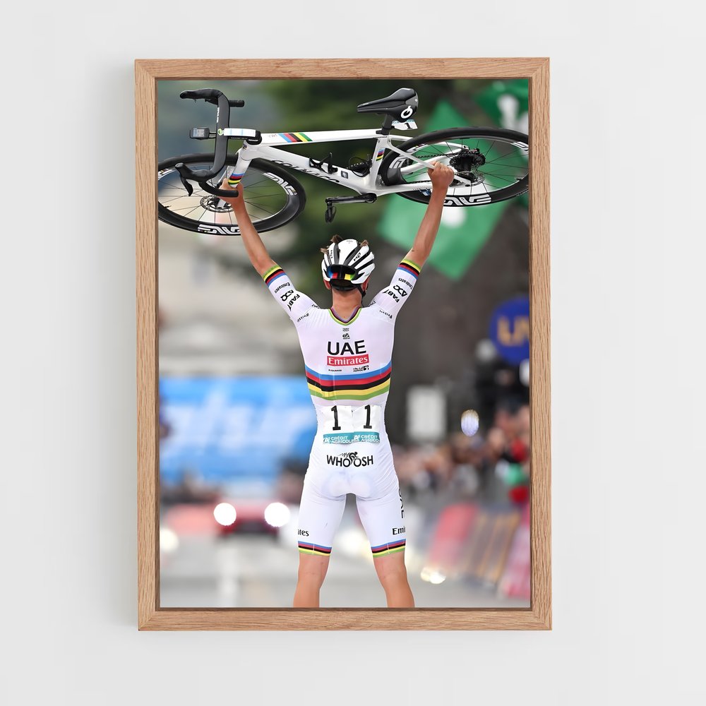 cyclism-5 cadre Bois clair