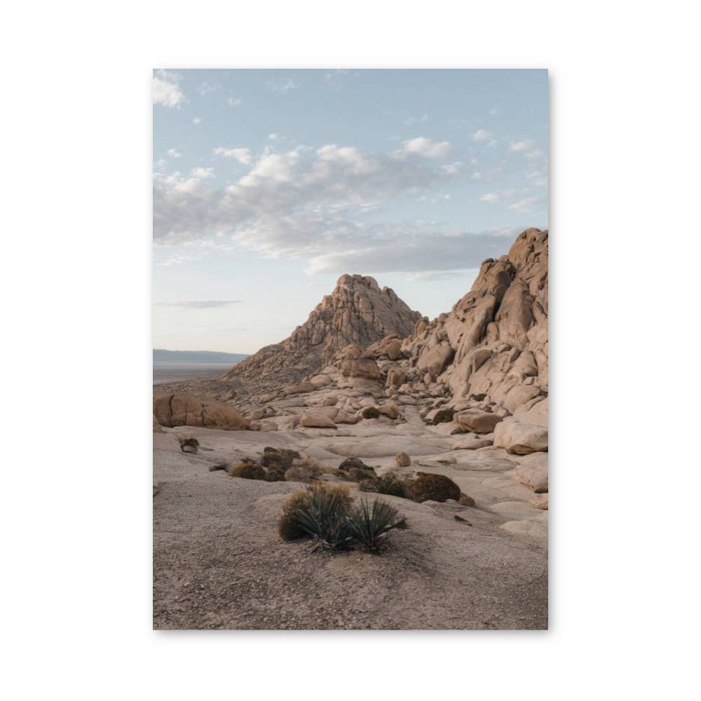 Poster Canyon Desert