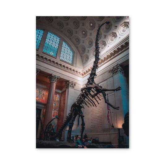 Diplodocus skelet poster