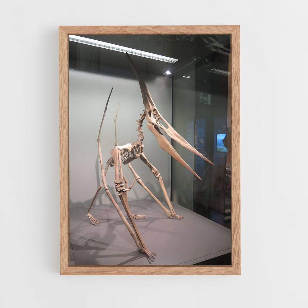 dinosaur-7 cadre Bois clair