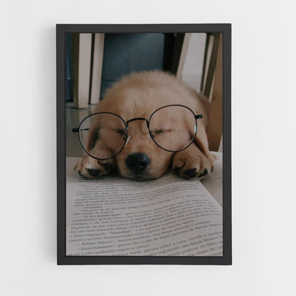 Hond lezen poster