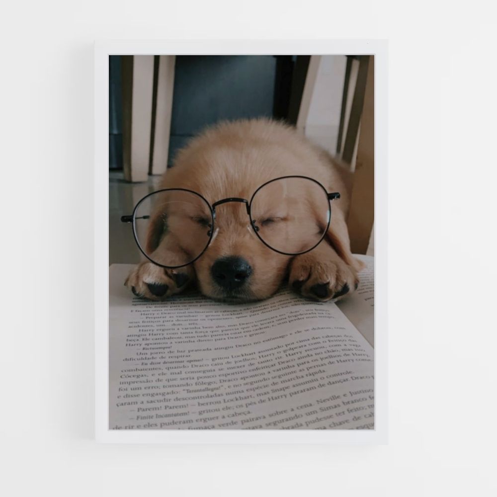 Hond lezen poster