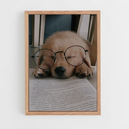 Hond lezen poster