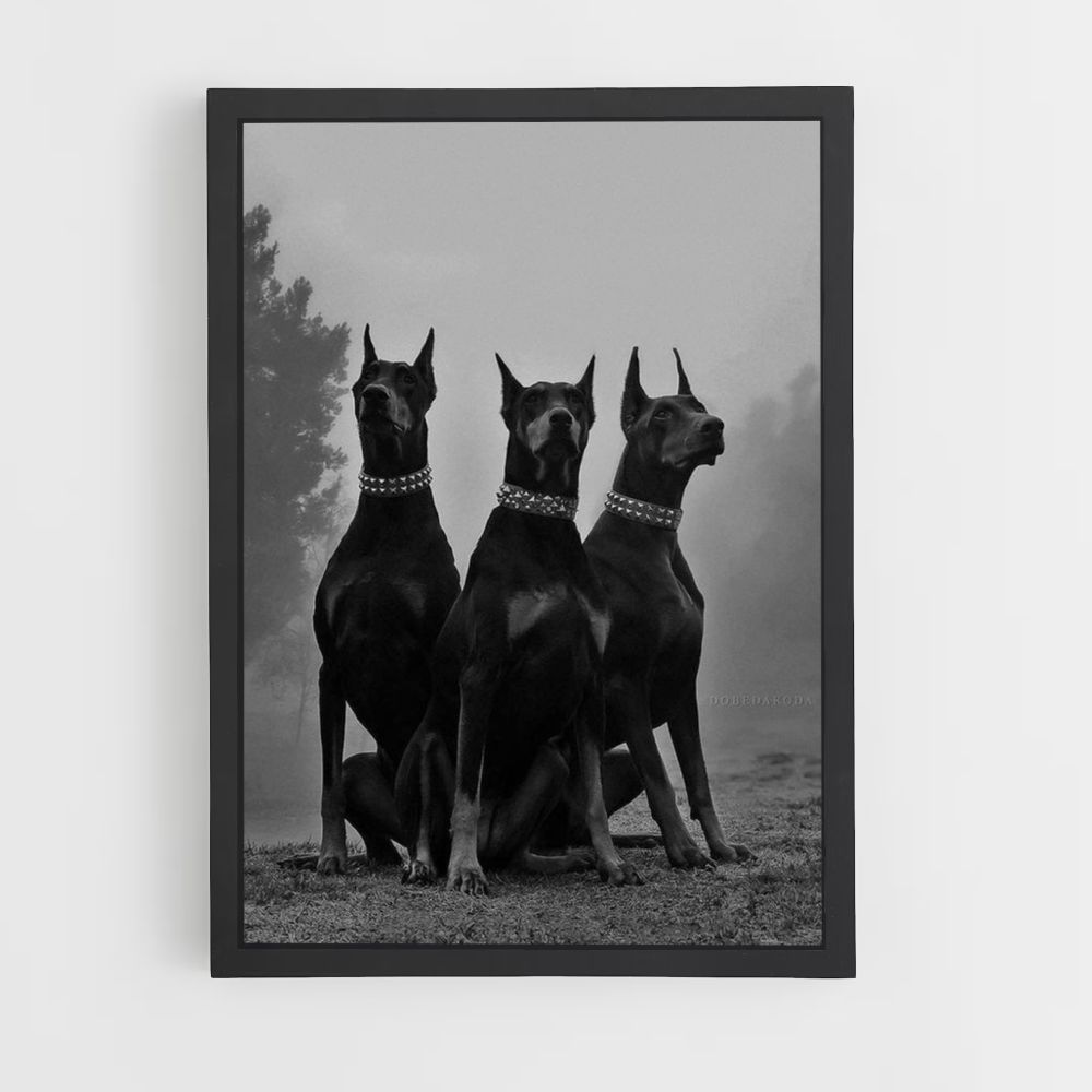 Doberman-poster