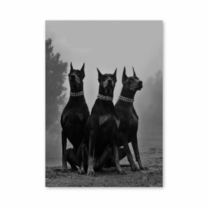 Doberman-poster