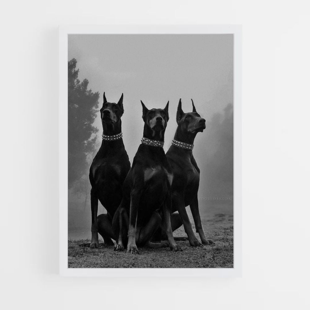 Doberman-poster