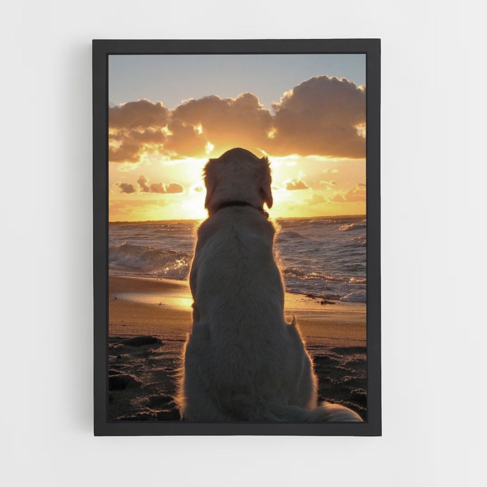 Hond strand poster