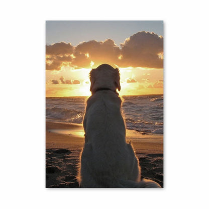 Hond strand poster