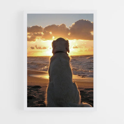 Hond strand poster