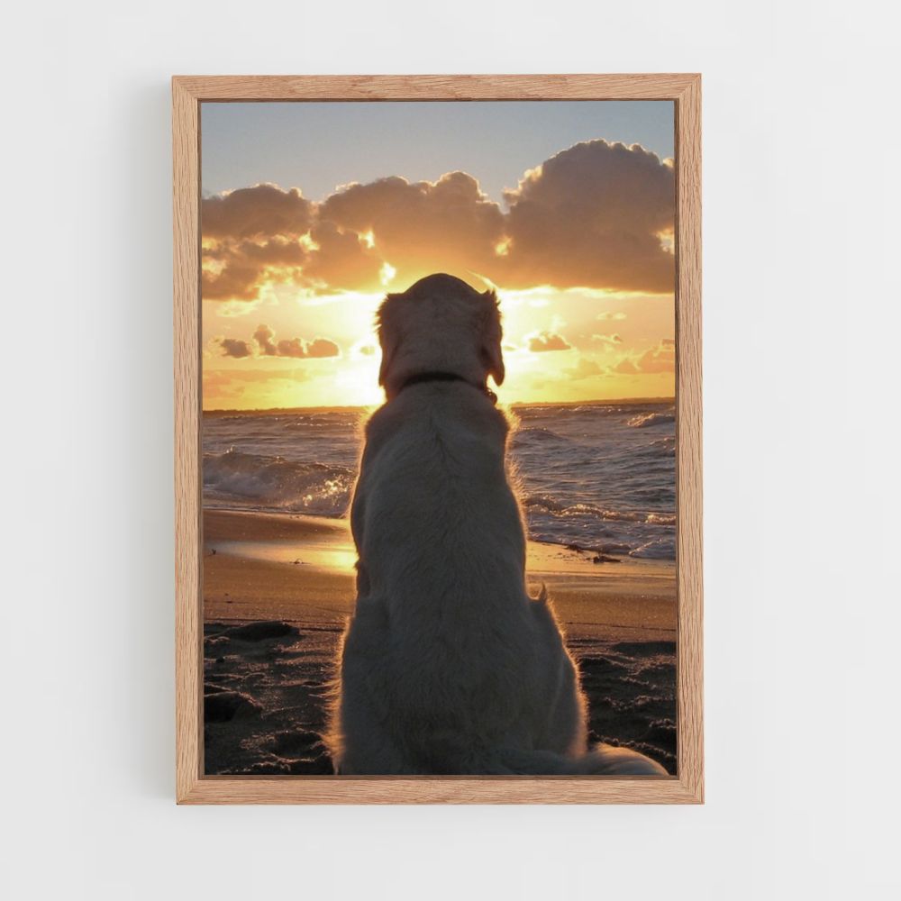 Hond strand poster