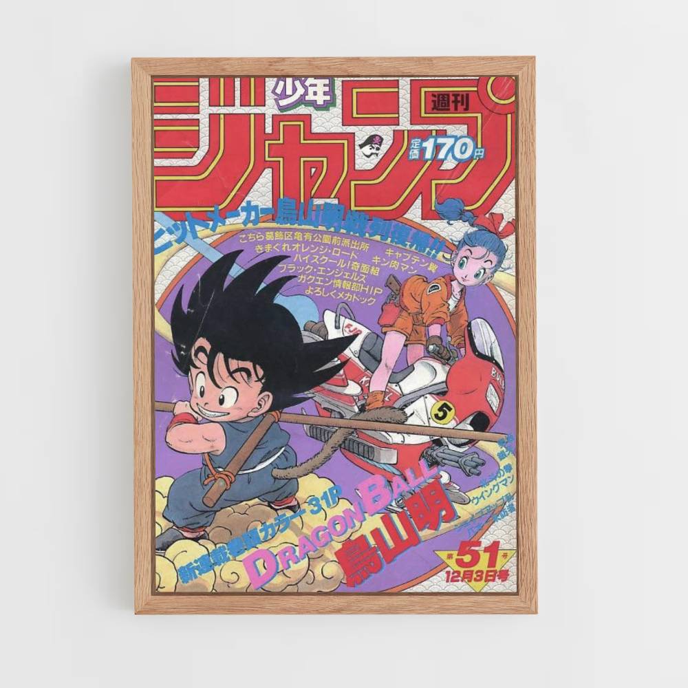 Poster Goku klein