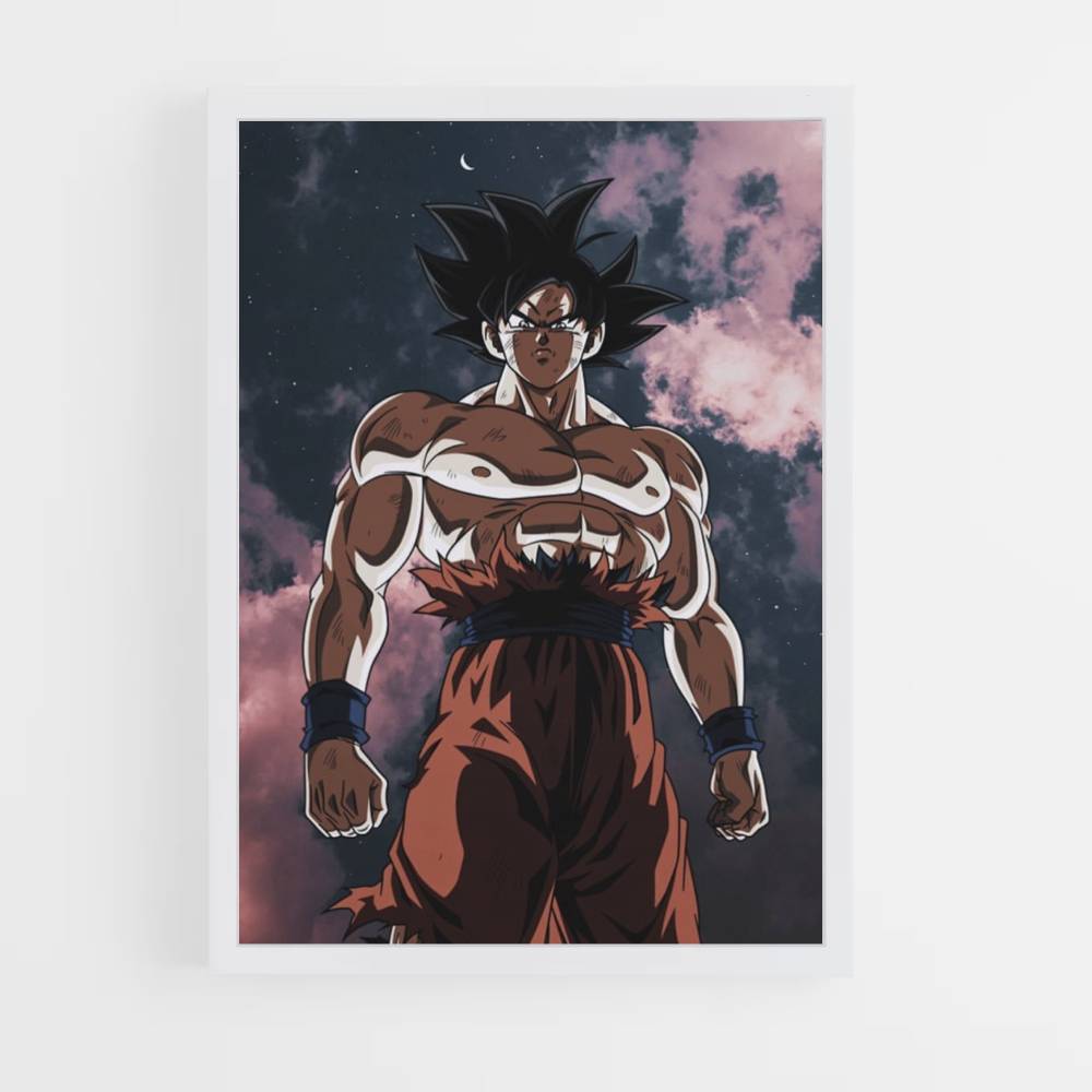 Poster San Goku esthetiek