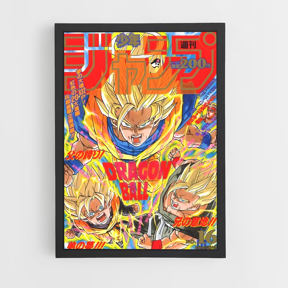 dragon-ball-2 cadre Noir