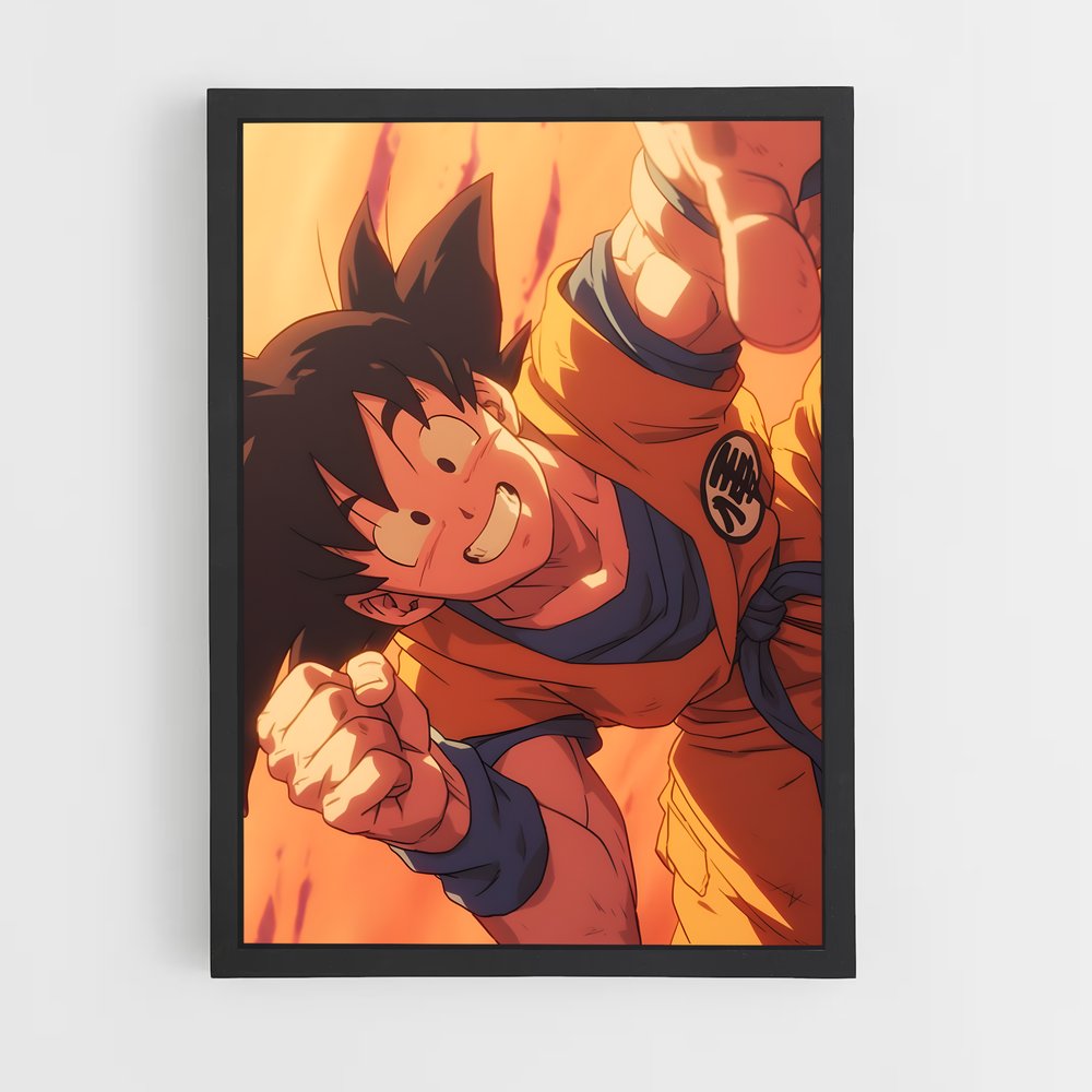 dragon-ball-21 cadre Noir