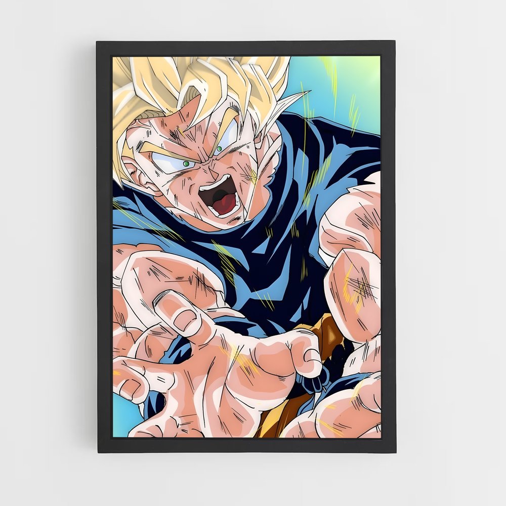 dragon-ball-23 cadre Noir