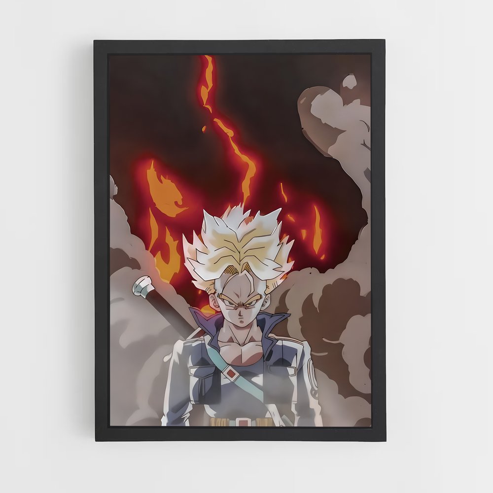 dragon-ball-26 cadre Noir