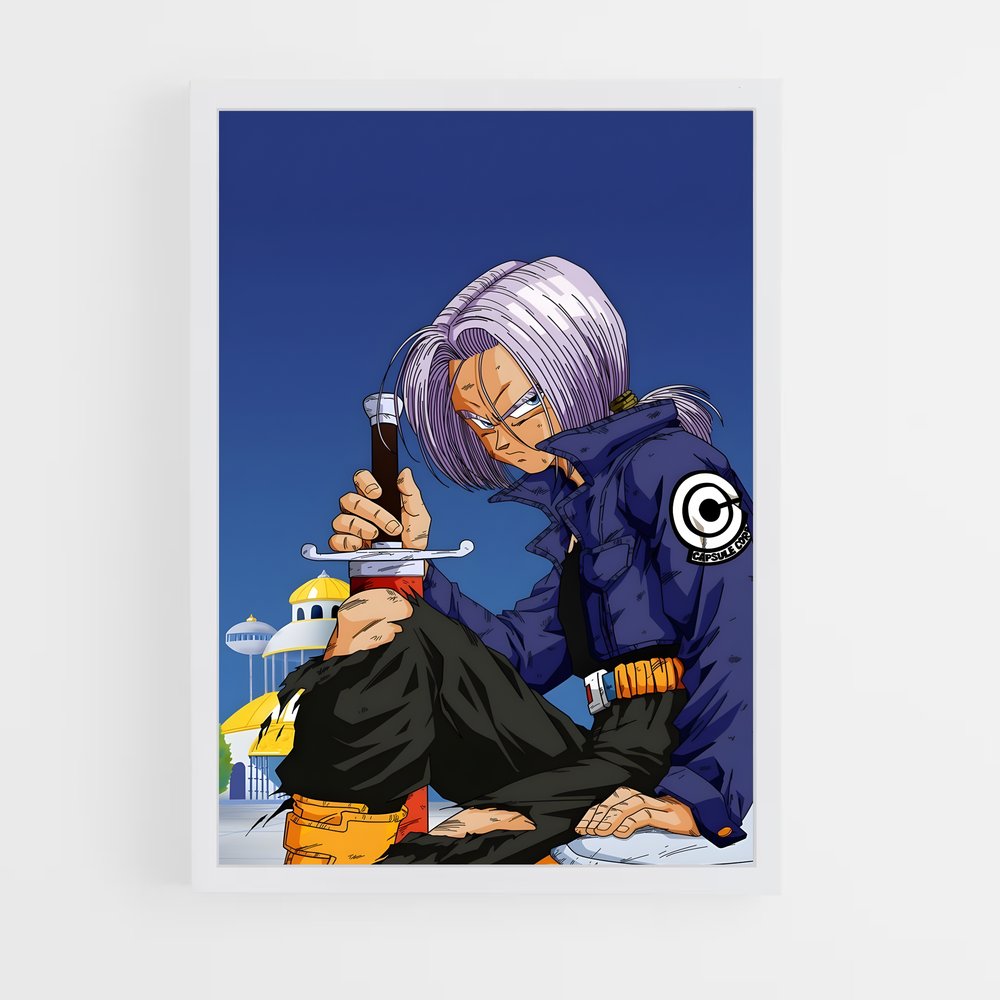 dragon-ball-27 cadre Blanc