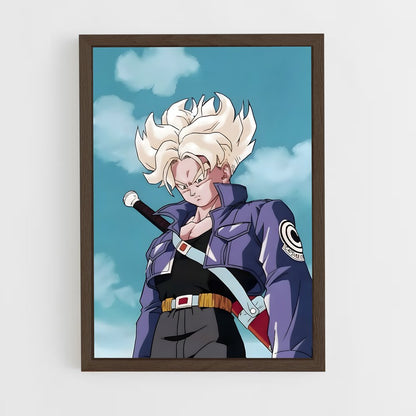dragon-ball-28 cadre Bois foncé