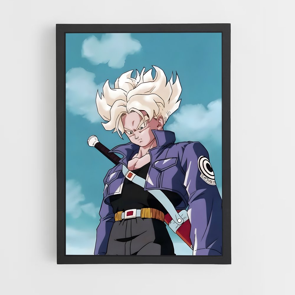 dragon-ball-28 cadre Noir