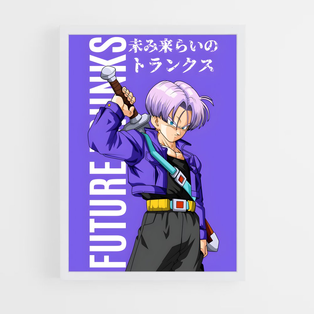 dragon-ball-29 cadre Blanc