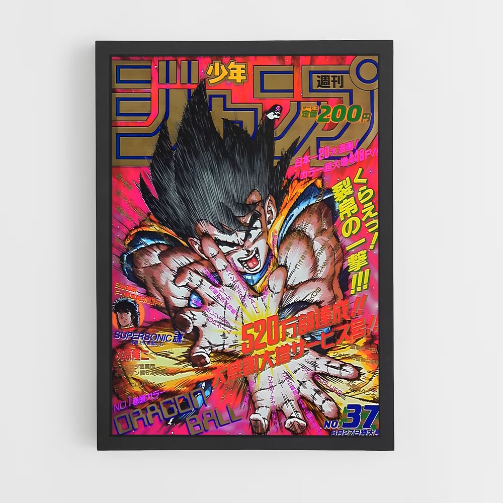 dragon-ball-8 cadre Noir