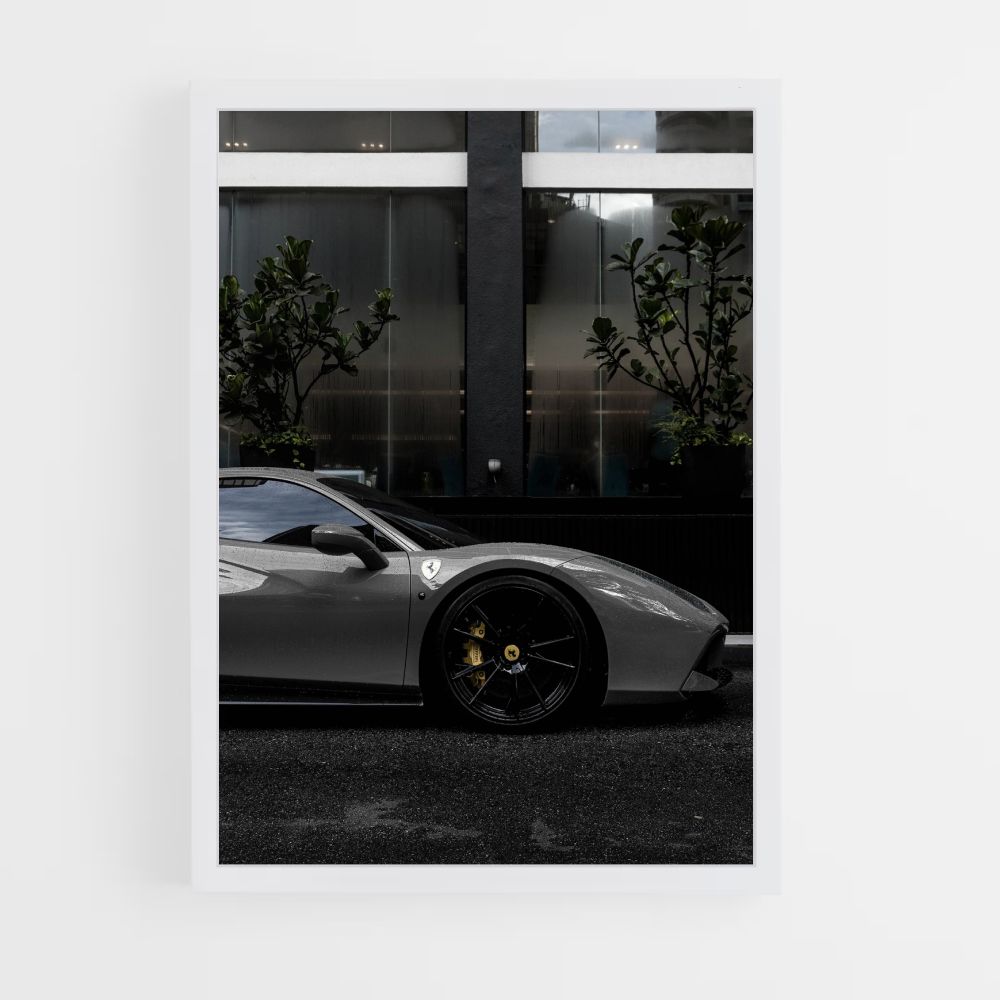 Affiche F488