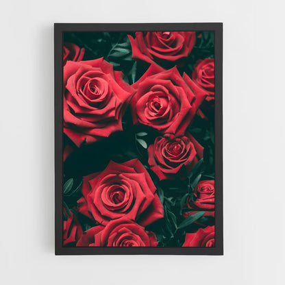 flower-12 cadre Noir