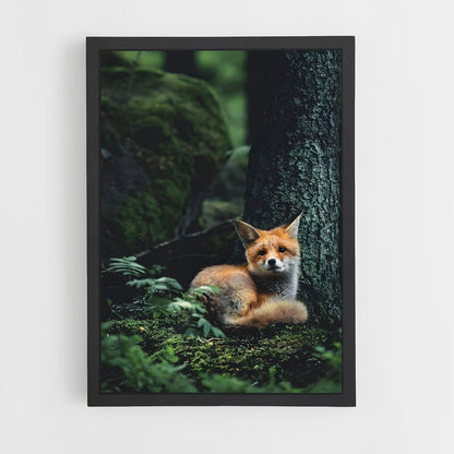 fox-1 cadre Noir