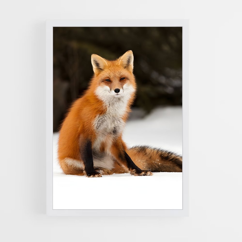 fox-3 cadre Blanc