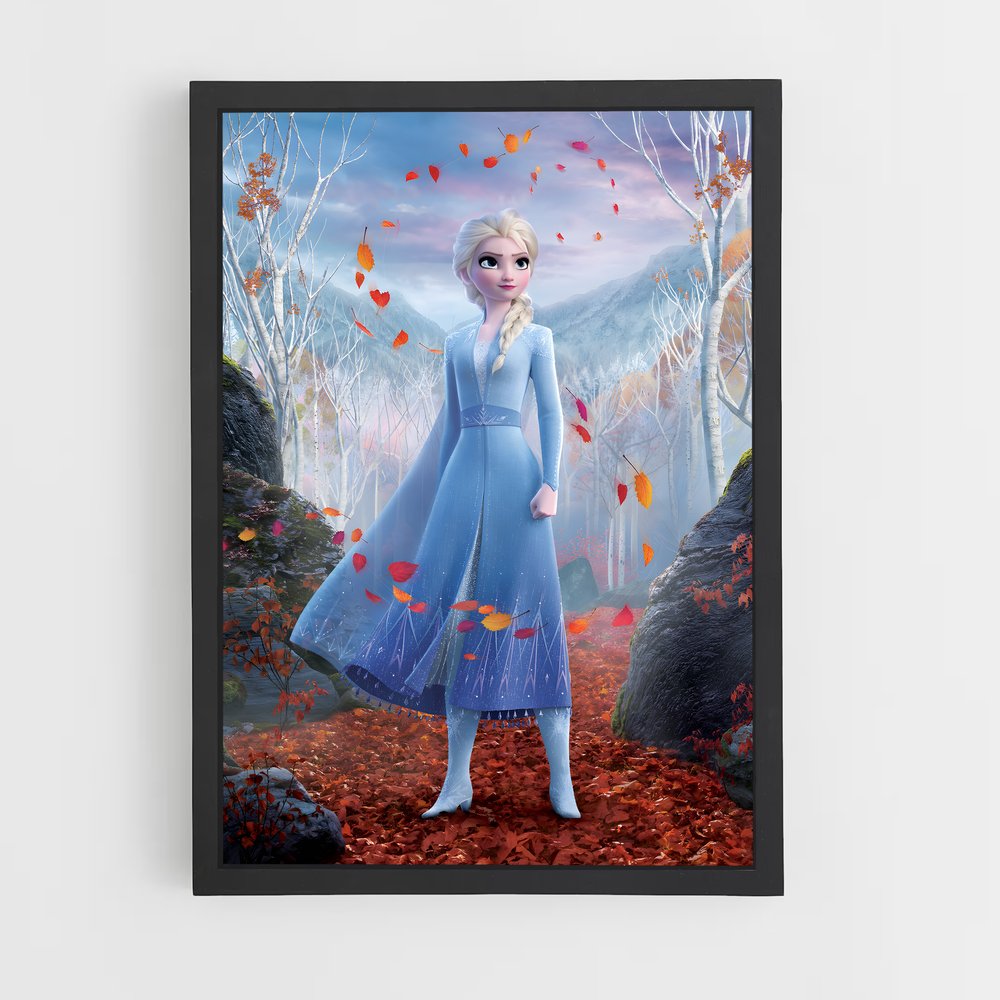 frozen-6 cadre Noir