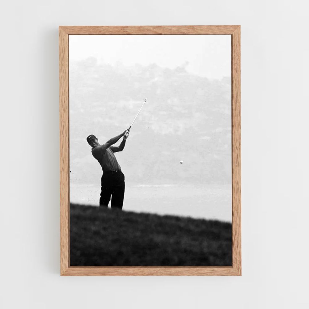 Tiger Woods schietposter