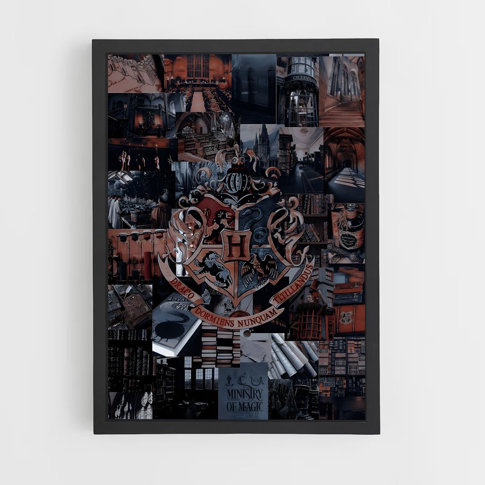 harry-potter-10 cadre Noir