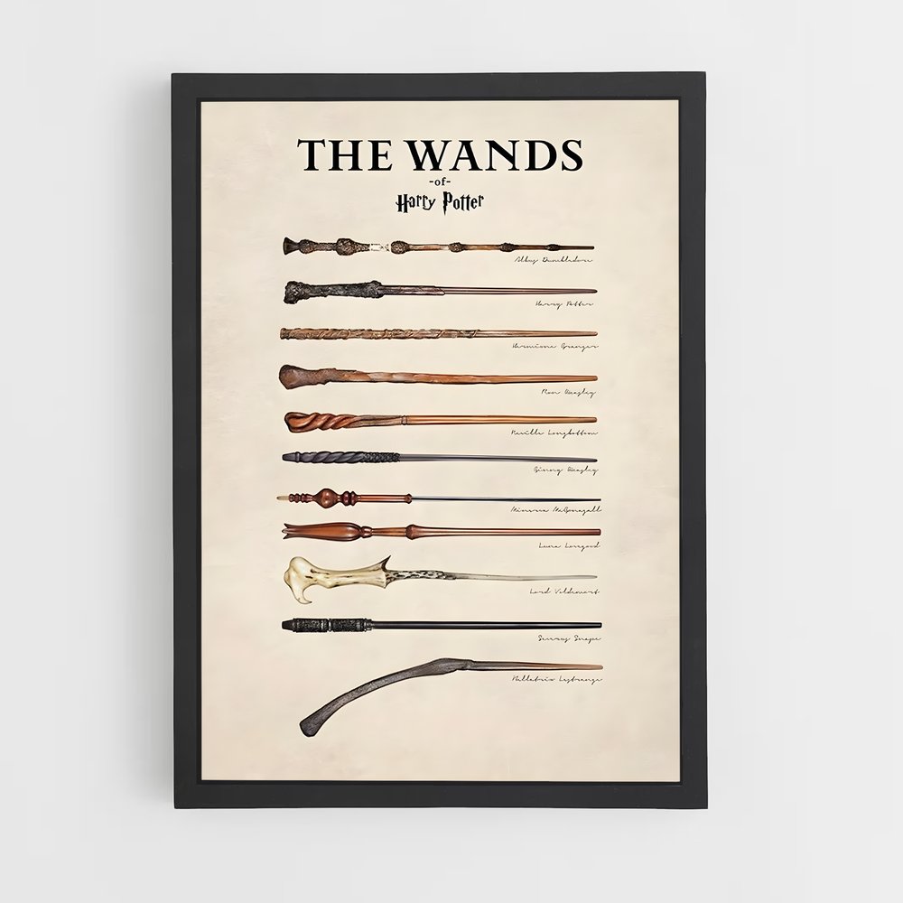 harry-potter-14 cadre Noir