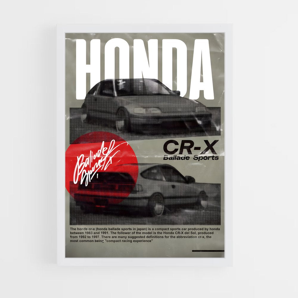 honda-6 cadre Blanc