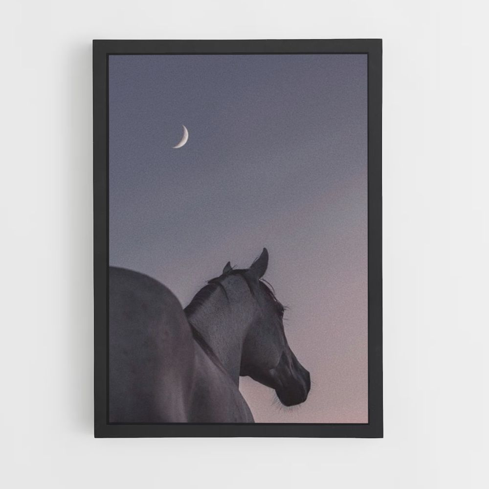 Paard maan poster