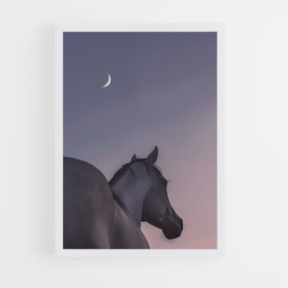 horse-1 cadre Blanc