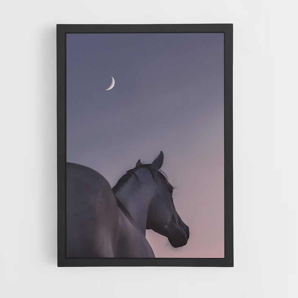 horse-1 cadre Noir