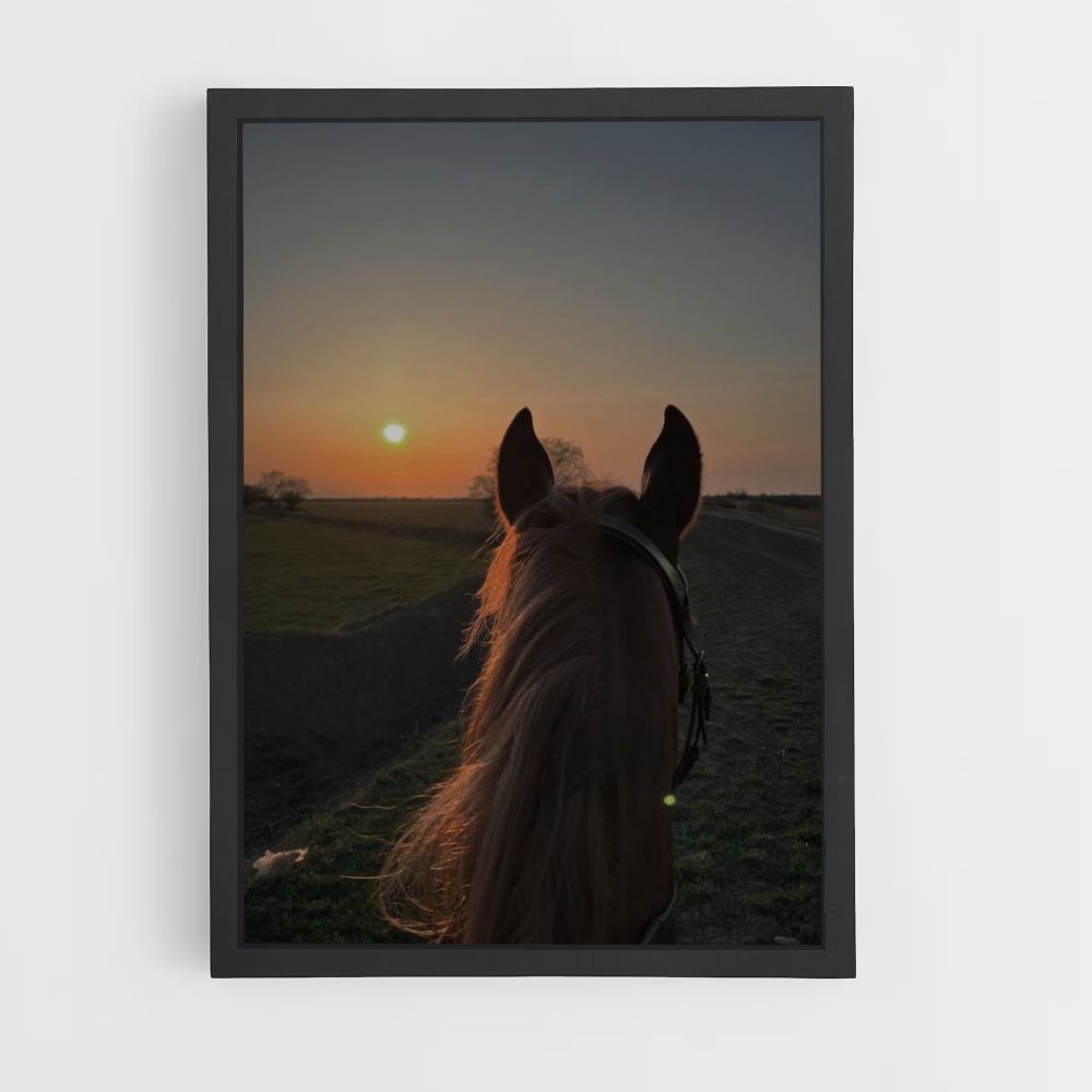 Paard wandelen poster