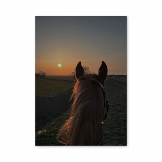 Paard wandelen poster