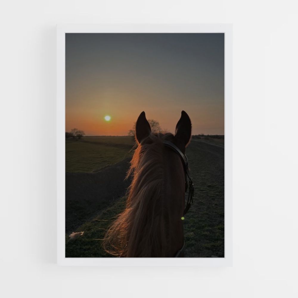 Paard wandelen poster