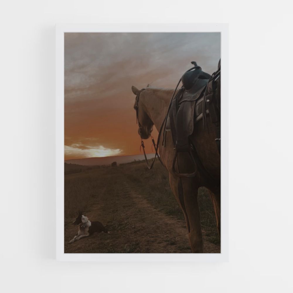 Paard wandelen poster