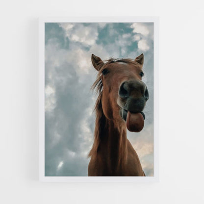 Grappige paardenposter