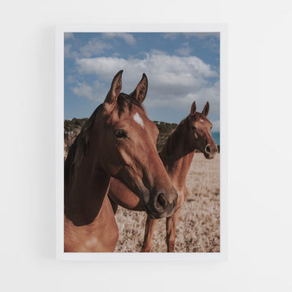 Bruine paardenposter